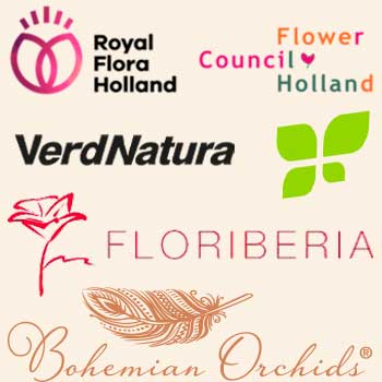 Colaboradores oficiales de Menta y Canela: Asociación Española de Floristas y socios logísticos en Madrid.