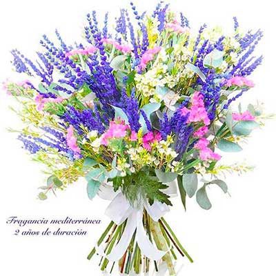 Flores para pedir perdón