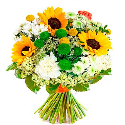 Flores para pedir perdón