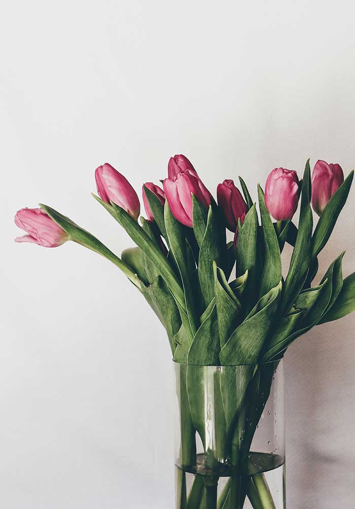 jarron con tulipanes
