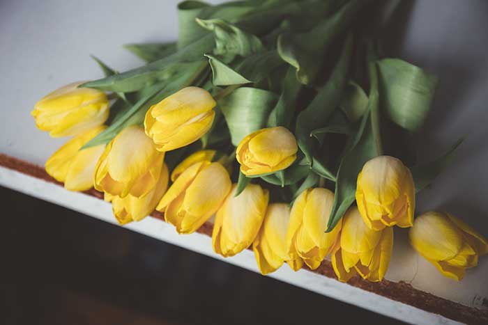 ramos de tulipanes amarillos