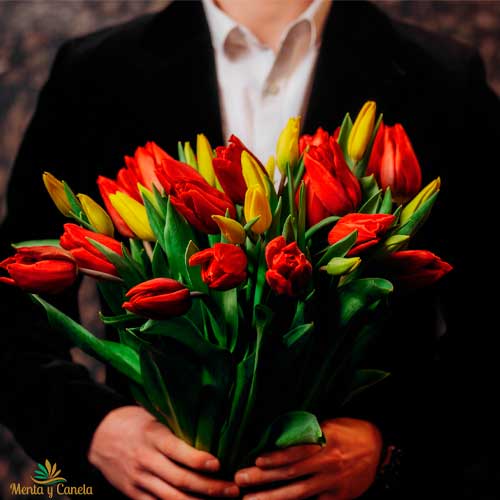 significado de regalar tulipanes