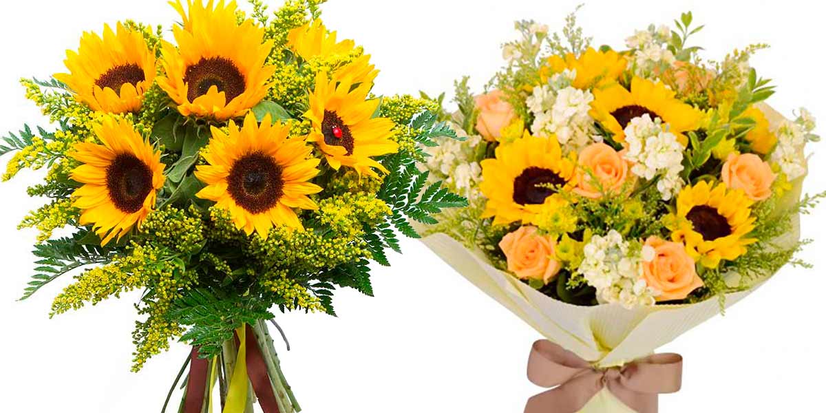 girasoles madrid