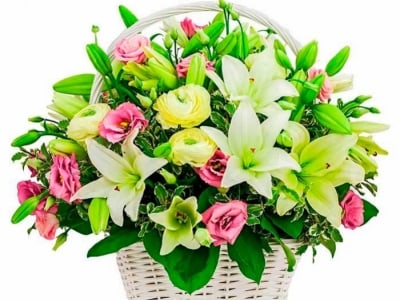 Flores para nacimientos en Madrid.