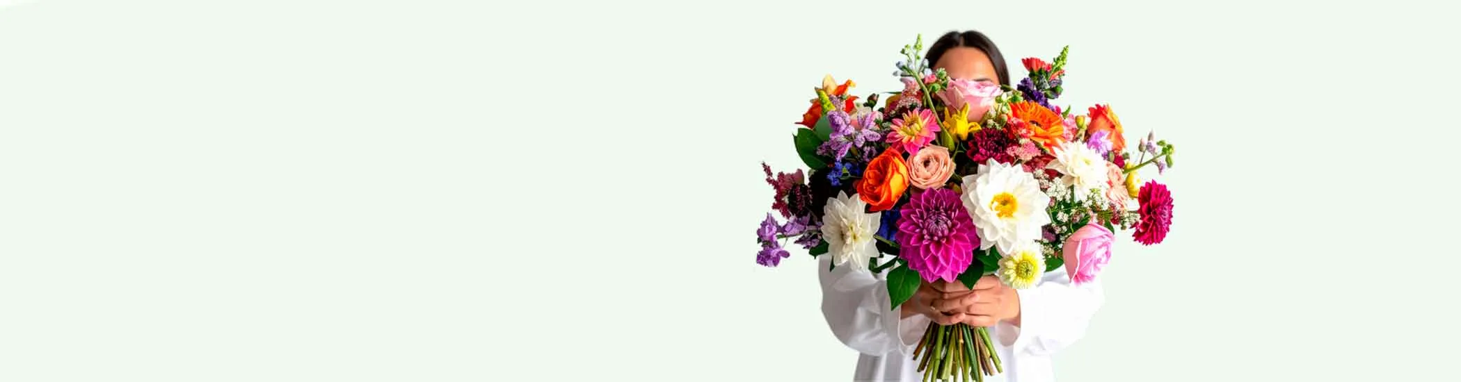 #Flores de temporada destok